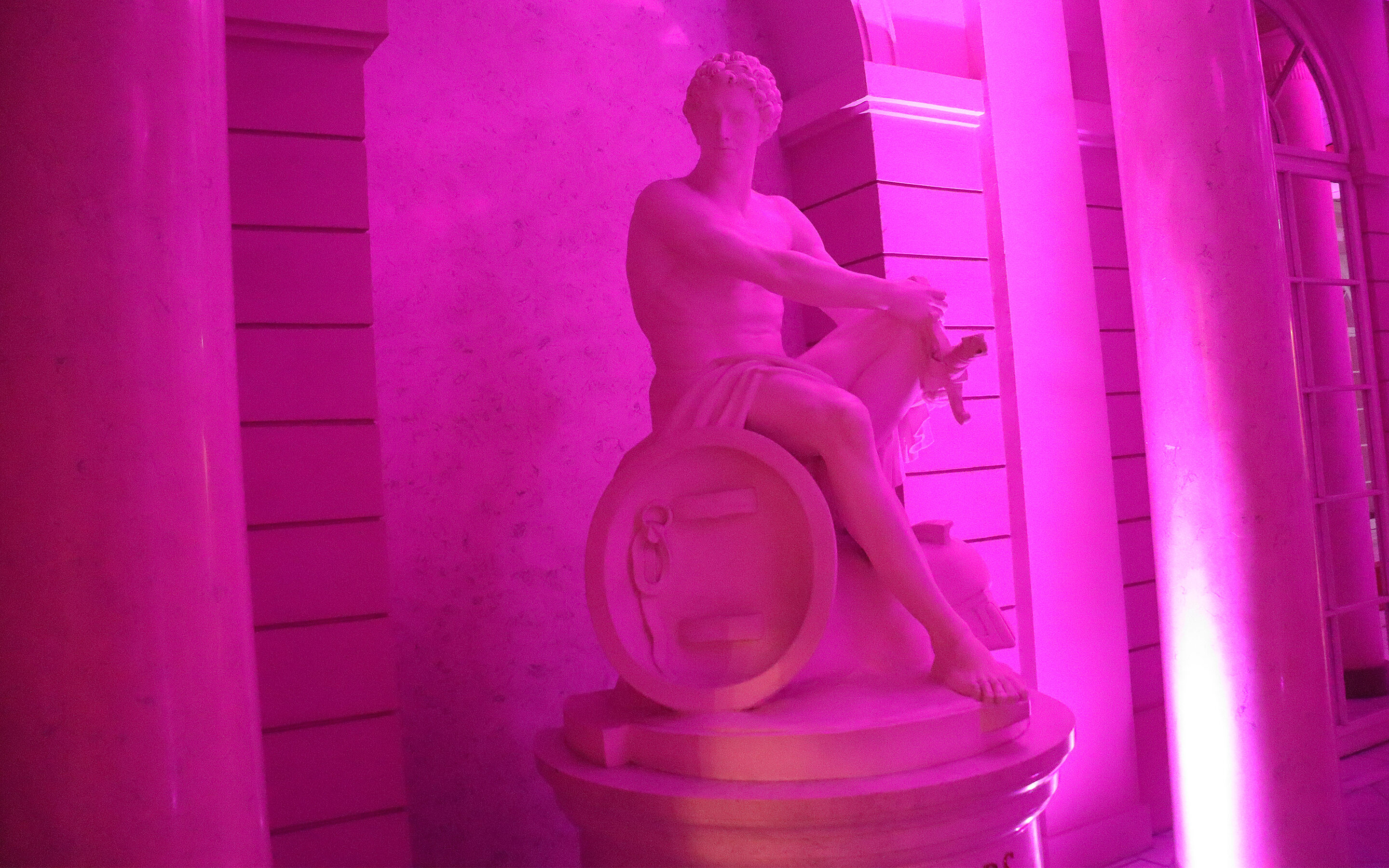 Business Albertina 11