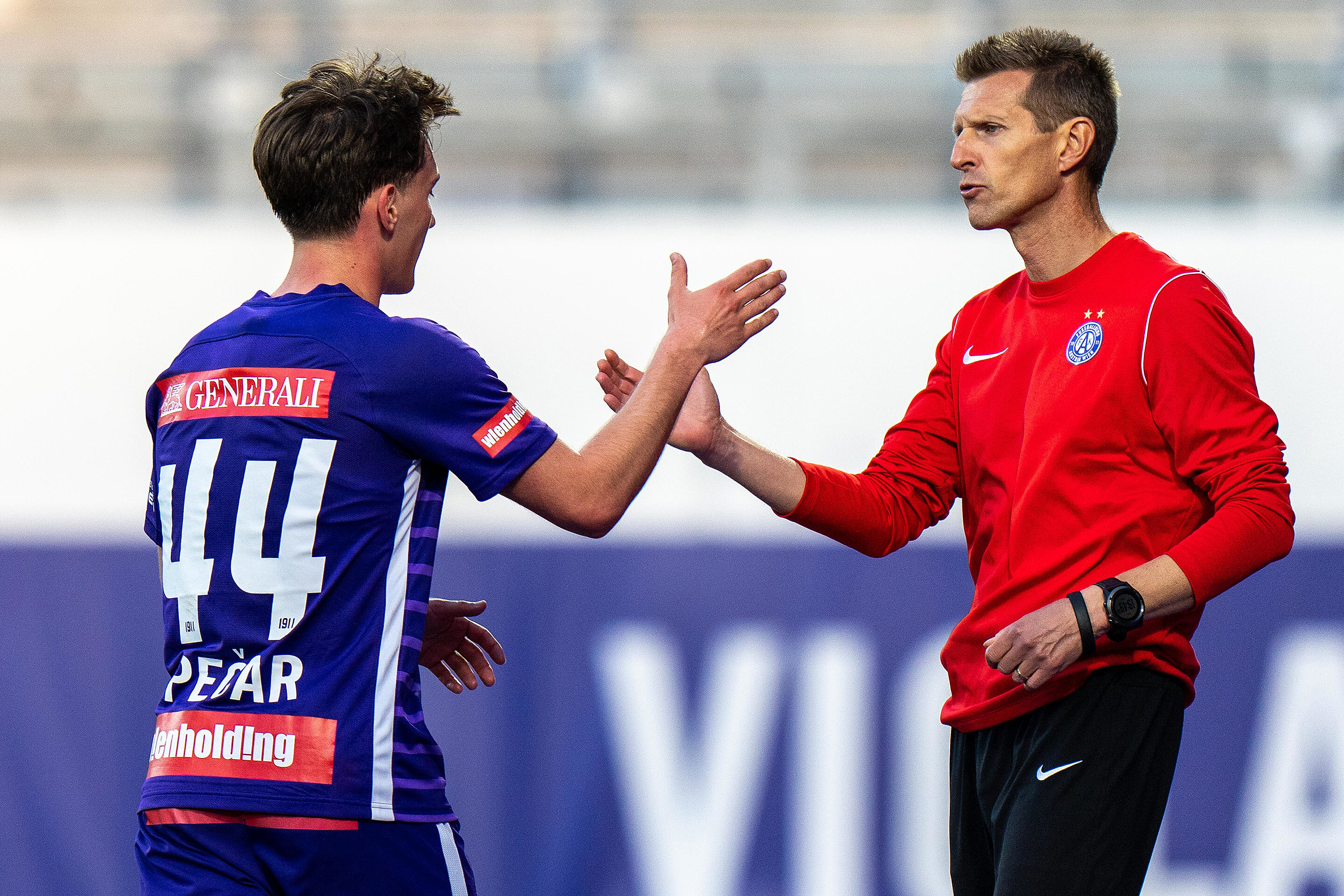 Young Violets Suchard