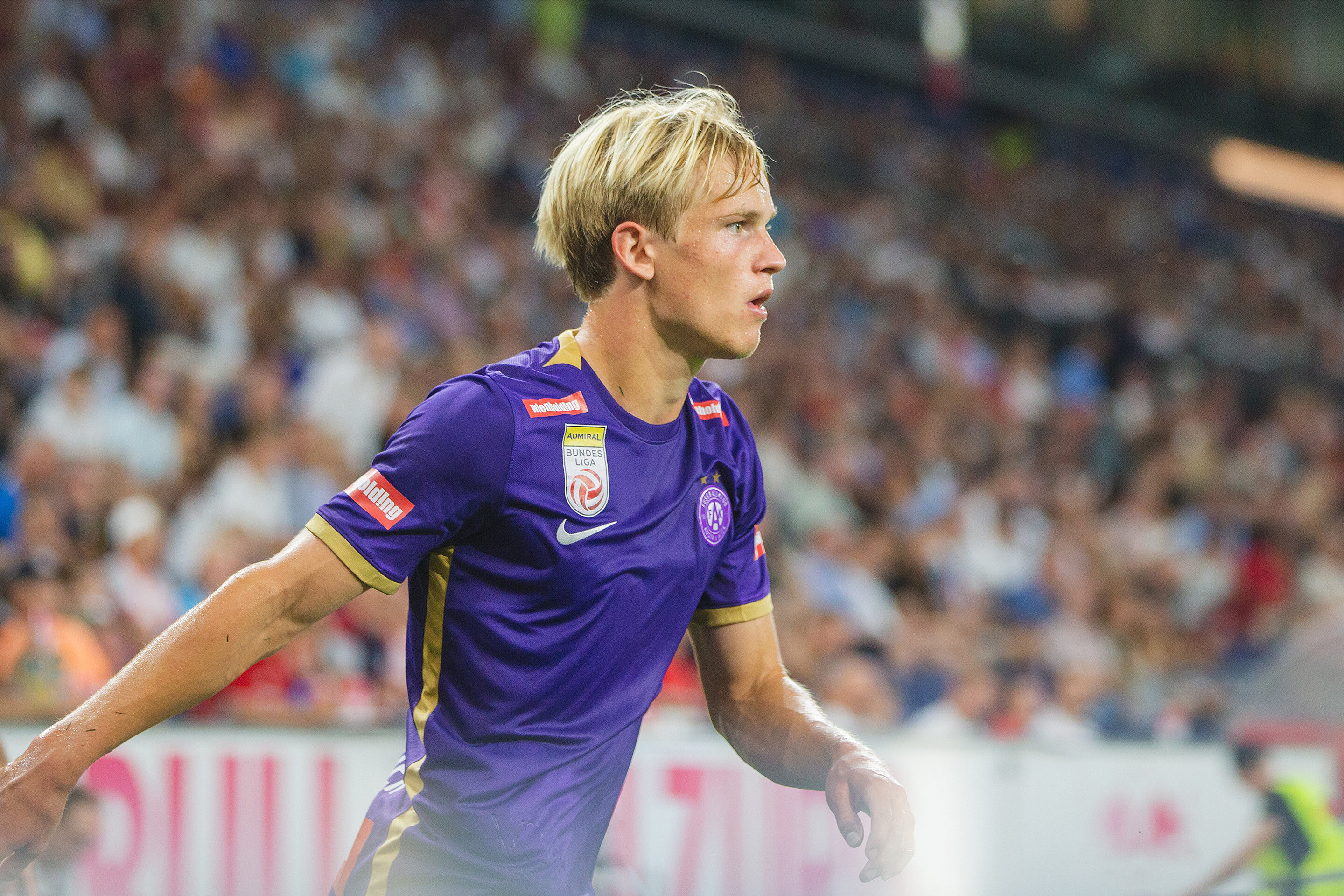 Braunöder Fan infos