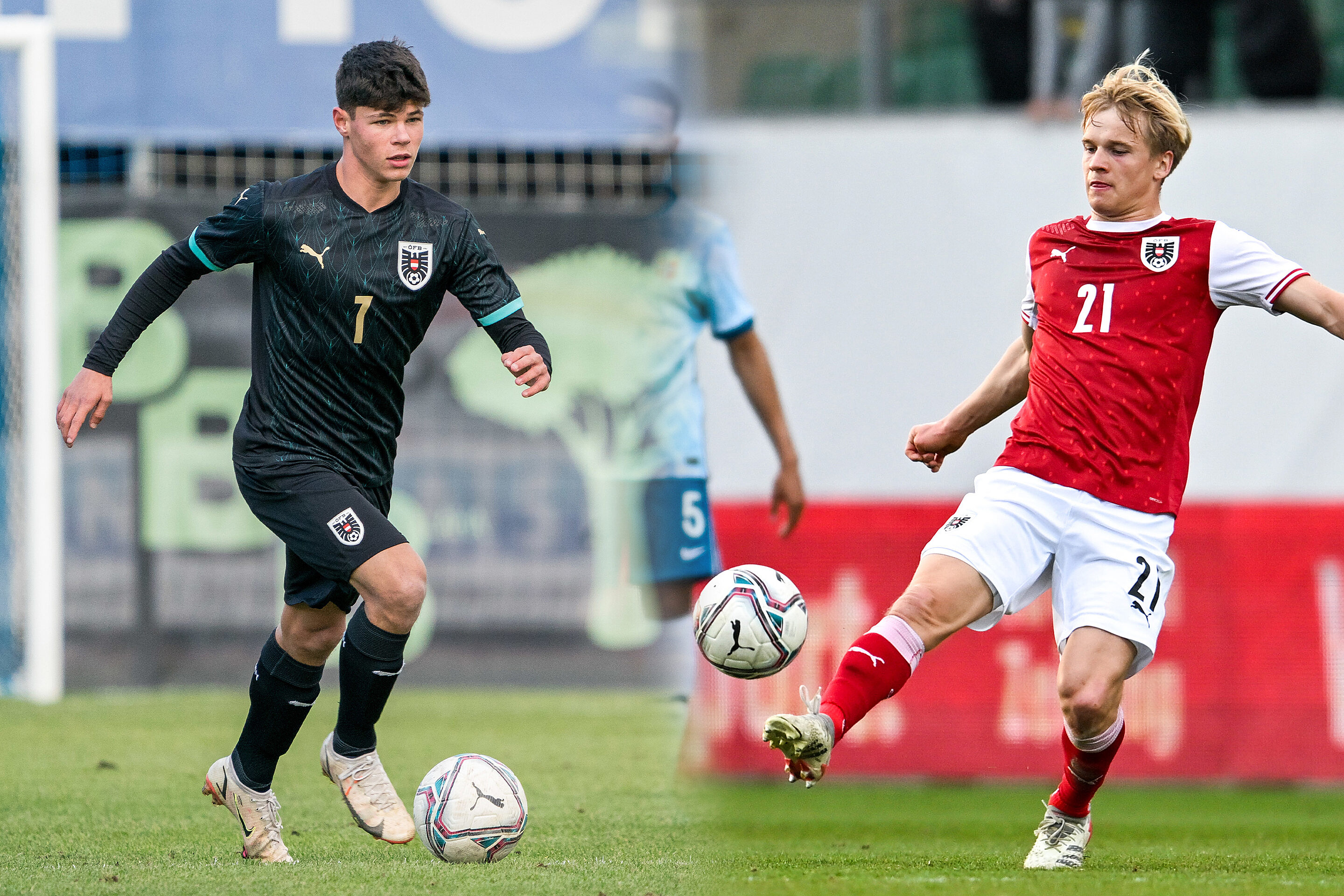 Einberufungen Pazourek Braunöder