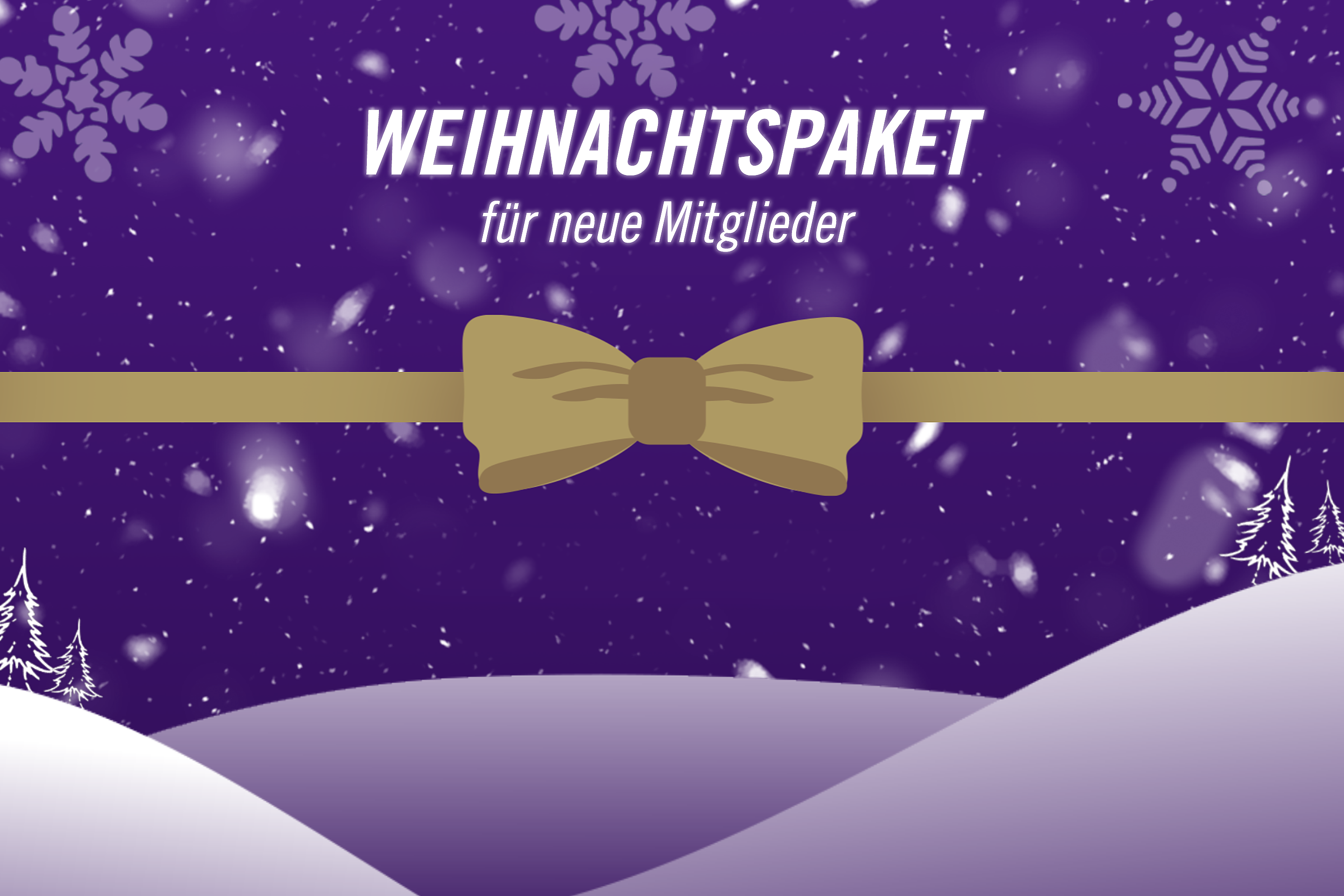 Mitglieder Aktion Weihnachten Text