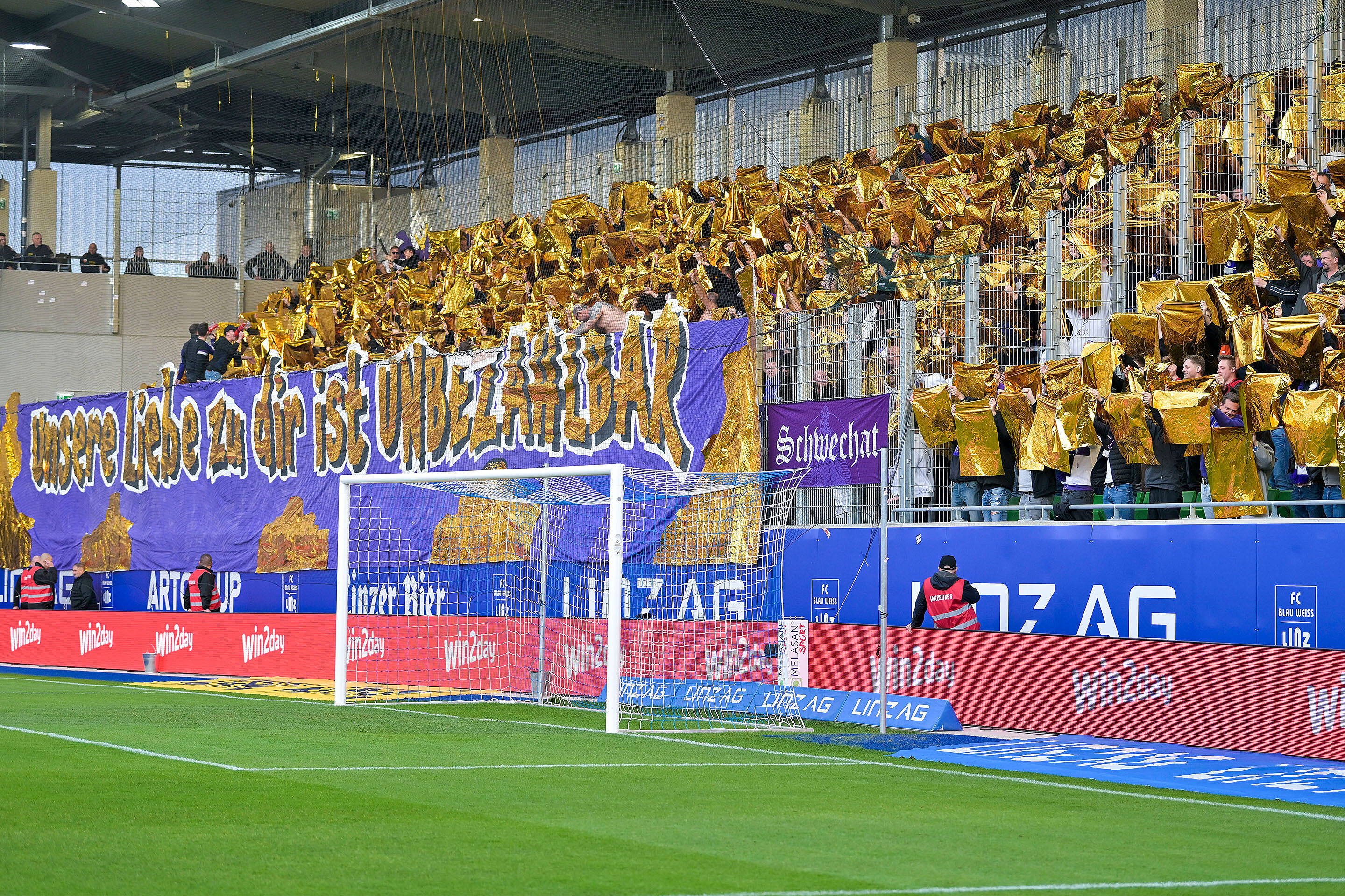Fan in Linz