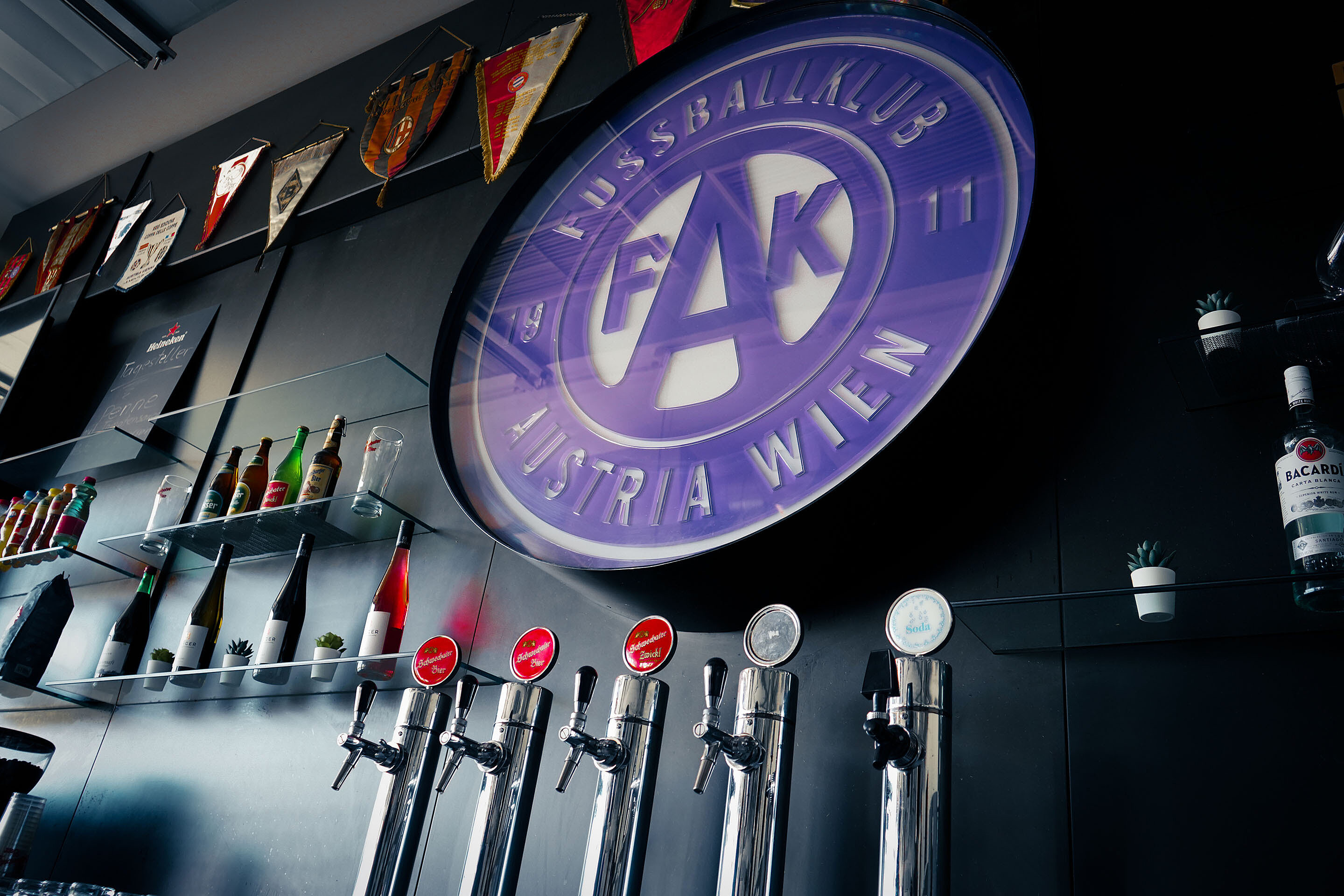 Viola Pub Zapfsäulen