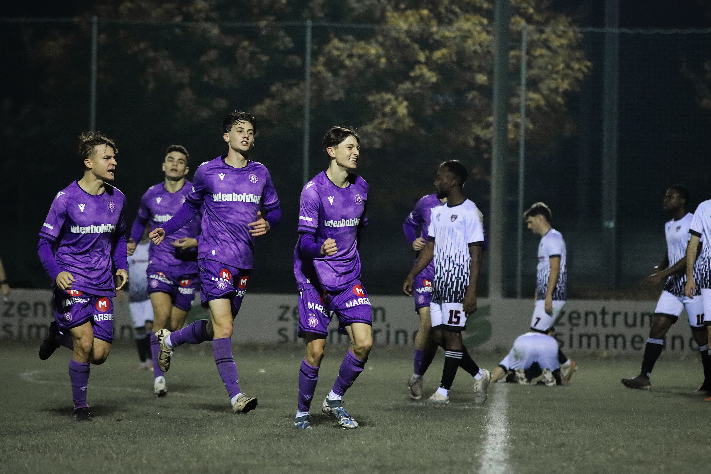 Young Violets ringen Mauerwerk nieder