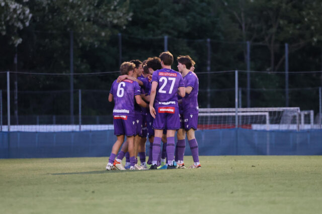 Violets Jubel Donaufeld