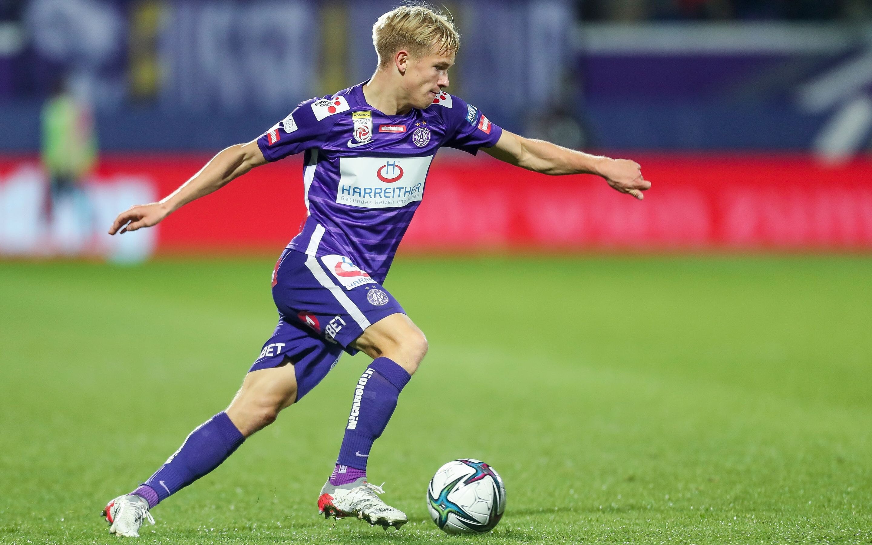 Braunöder allgemein